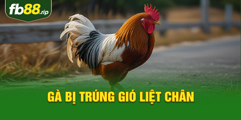 gà bị trúng gió liệt chân