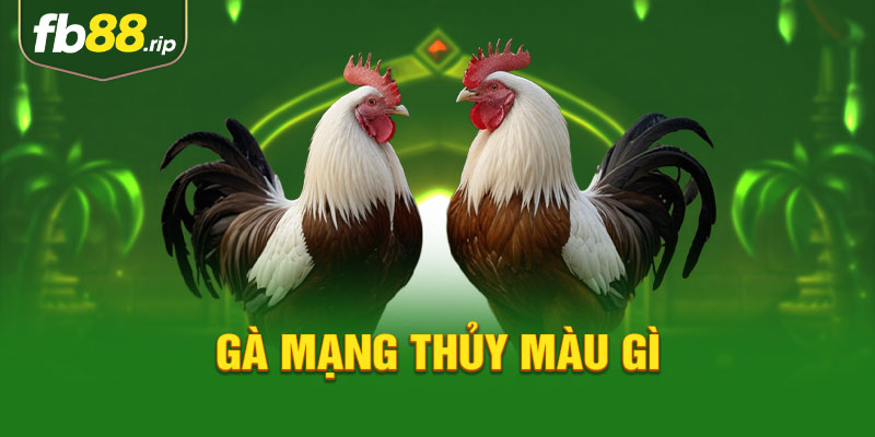 gà mang thủy màu gì