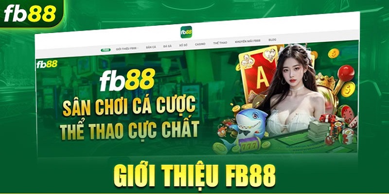 Giới thiệu FB88 sẽ giúp bạn hiểu rõ hơn về sân chơi